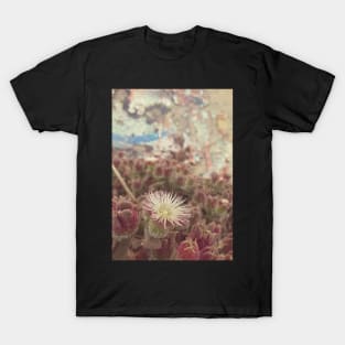 Succulent Flower Blooming T-Shirt